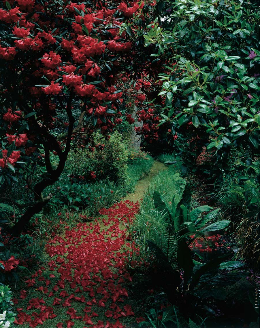 PLANTS_GARDENS_06