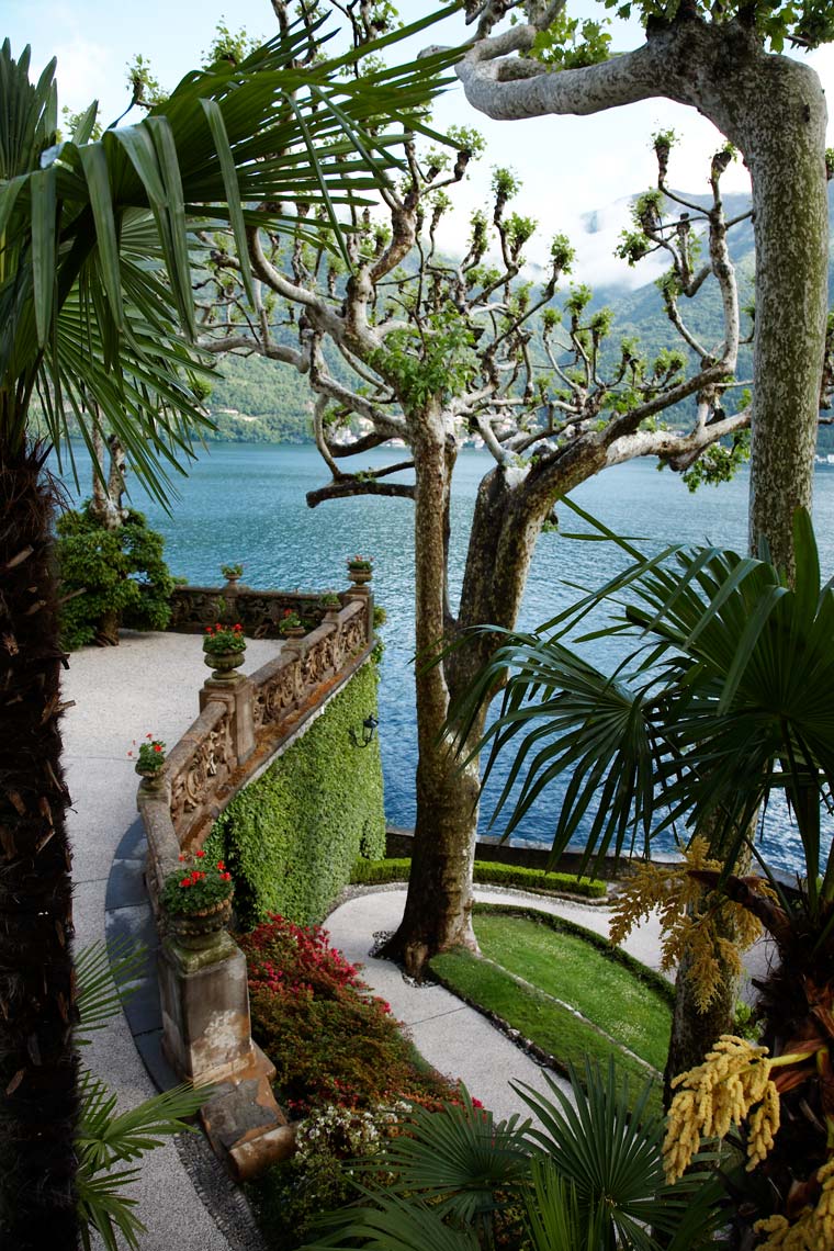 PLANTS_GARDENS_11