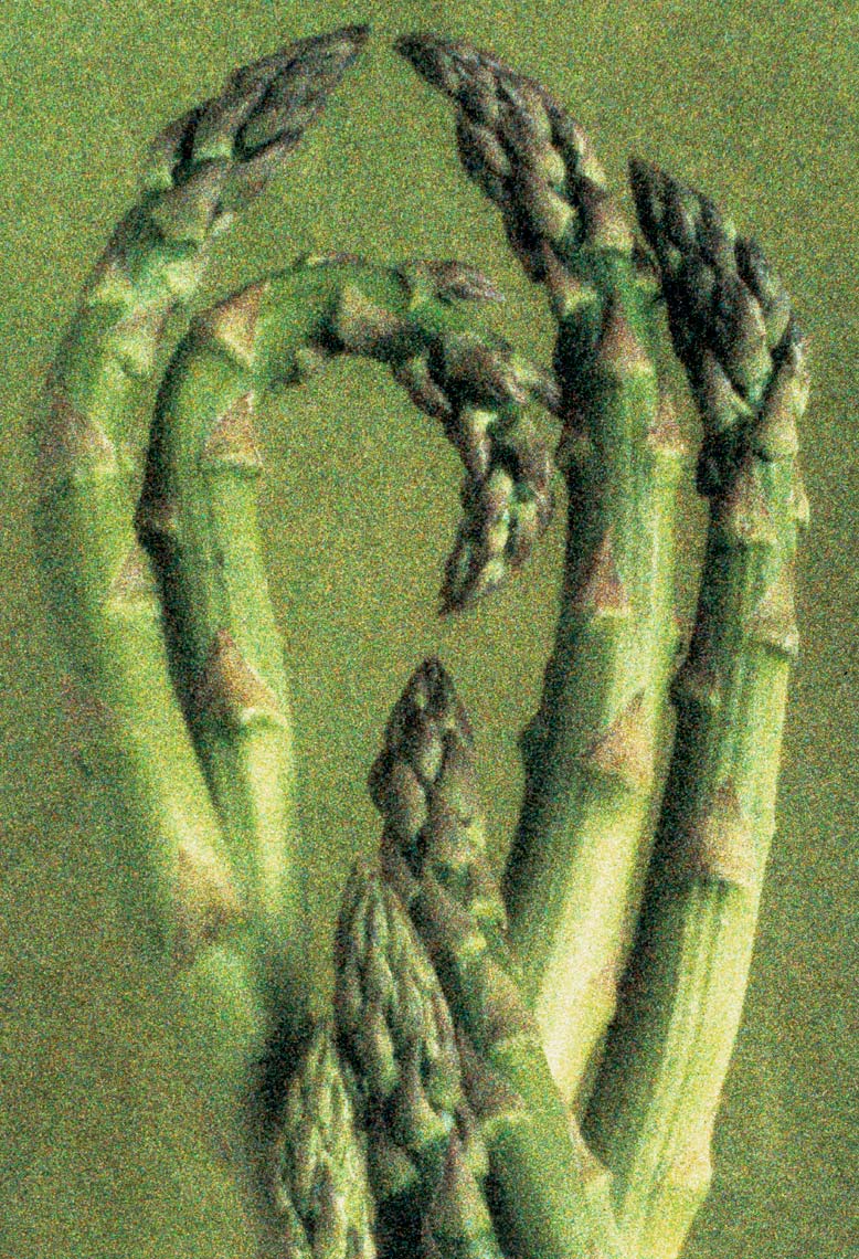 F482d.tif