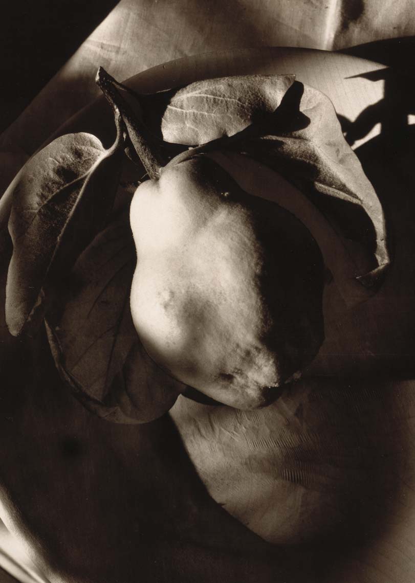 F596crop.tif