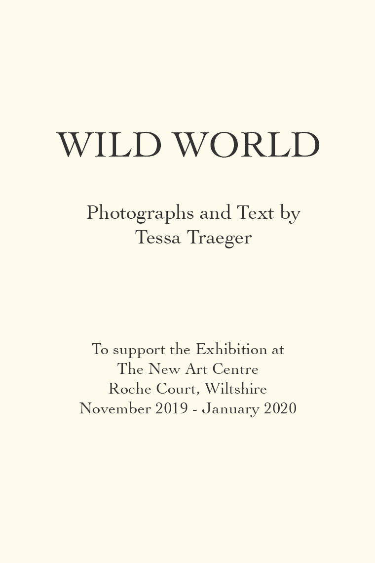 artist_book_wild_world