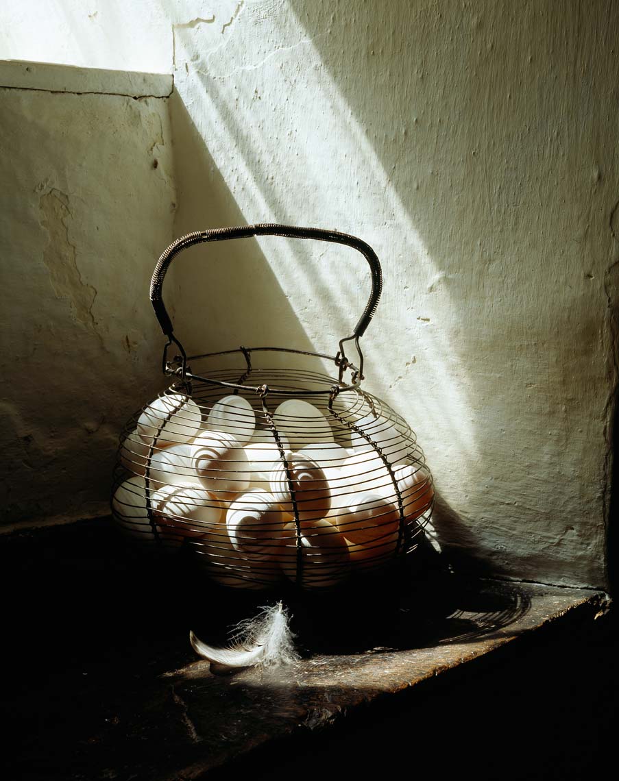 still_life_28
