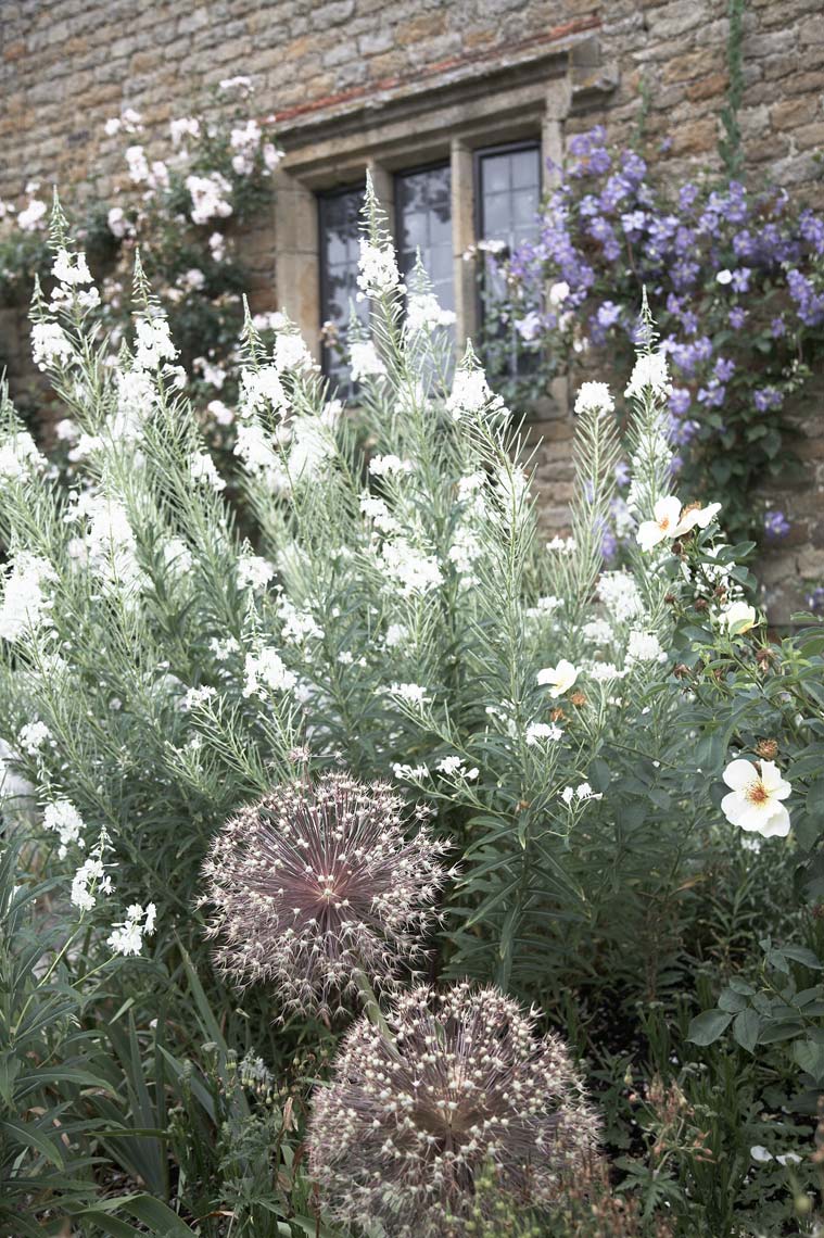 woolbeding_016