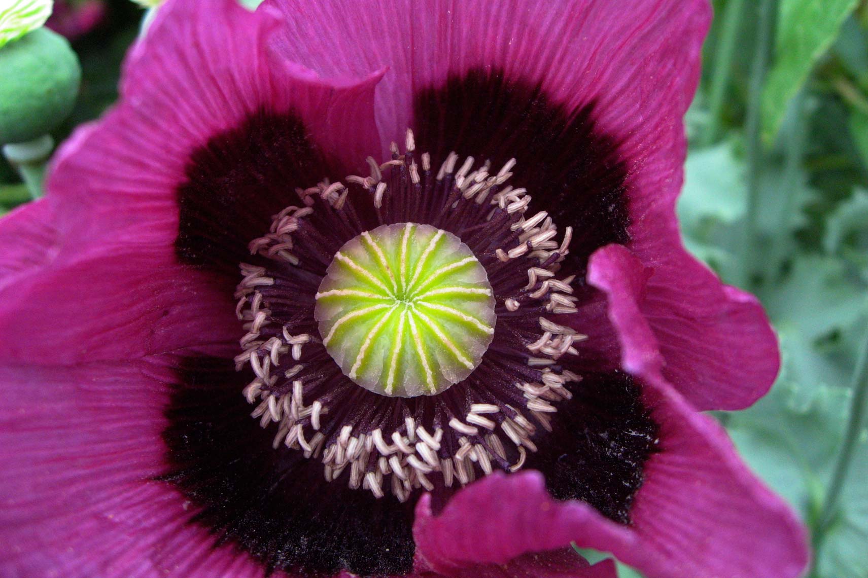 woolbeding_031